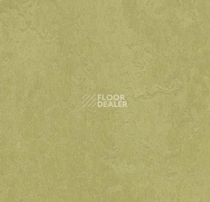 Линолеум Forbo Marmoleum Marbled Fresco 3265-326535 avocado фото 1 | FLOORDEALER